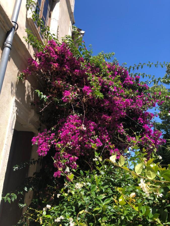 Bed and Breakfast L' Ilot Des Iles Cuxac-dʼAude Exterior foto